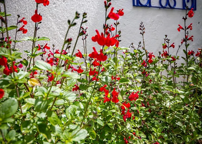 Pearl * Skiathos-Stadt